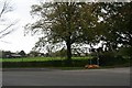 No-one starves here: free giant pumpkins by the roadside in former R.A.F. Digby