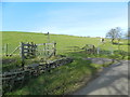 Gate to footpath, near Ty-draw Farm, Gelliwion Rd