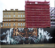 NS5864 : Tiger mural at Customhouse Quay by Thomas Nugent