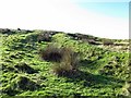 Romano-British enclosure, Aughertree Fell