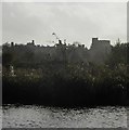 TQ0107 : Arundel Castle from Wetland Centre by Rob Farrow