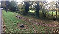 Footpath near Roath Park