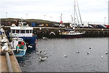 HU5362 : Symbister Harbour, Whalsay by Donald MacDonald