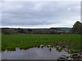 Flooded field entrance near Hele Cottage