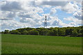 Pylon, Kempston Wood