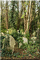 Ivy covered headstones, Highgate Cemetery