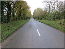 R7830 : Road (L1513) heading towards Raheen (Knocklong) by Peter Wood