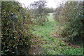 Footpath on Whitequarry Hill