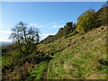 Path across lower slope of Myreton Hill