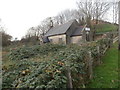 Overgrown graveyard and the former Church of St John the Baptist