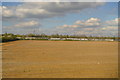 Farmland, Langley