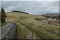 Yellow road, passing Brockhouse