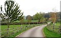 Bridleway to Low Cleaves