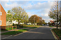 Fanshawe Road: autumn sunlight