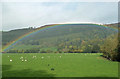 Rainbow Near Carrog