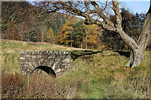 NT2320 : A small bridge in the Yarrow Valley by Walter Baxter