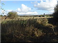 Field with military ruins