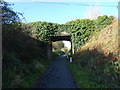 Bridge over the cycleway