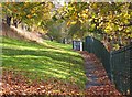 Path below High Road, Galashiels