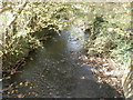 The Afon Clun at Rhiwsaeson, looking west