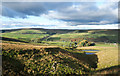 Valley of Hudgill Burn