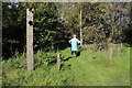 Footpath Across Nature Reserve