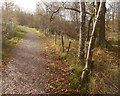 Path out of Callander