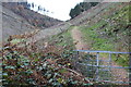 ST2392 : Hillside footpath near Hansons Lodge by M J Roscoe