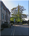 Chesterton: spire, leaves and autumn sunlight