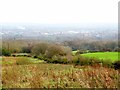 Autumn at Horrocks Wood