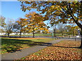 Autumn on Plumstead Common