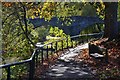 Riverside path, Jedburgh