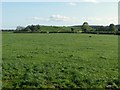 SK1629 : View from Saltbrook Lane towards Row Hill by Alan Murray-Rust