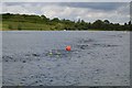 TL0148 : Openwater swimmers, Box End by N Chadwick