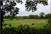 SJ9922 : Riverside pasture land near Great Haywood, Staffordshire by Roger  D Kidd