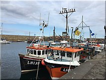 NT6779 : Rockhopper and Sea Breeze tied up at Victoria Harbour Dunbar by Jennifer Petrie