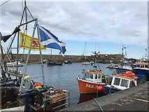 NT6779 : Welcome Home and other Fishing Boats at Victoria Harbour Dunbar by Jennifer Petrie