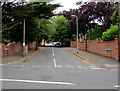 Tree-lined Portland Avenue, Exmouth