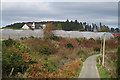 Polytunnels at Wardend Cottages