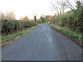 Road to Paxford near Bank Farm