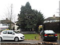 Houses on Chigwell Road, Woodford