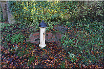 SE7861 : Disused water pump Acklam by Ian S