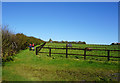 Path leading to High Penhowe Farm