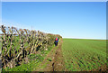 Path leading to High Penhowe Farm