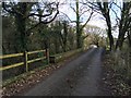 Pont Llangwarren