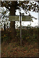 TM3669 : Signpost on the A1120 Yoxford Road by Geographer