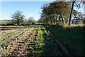 Path at High Penhowe Farm