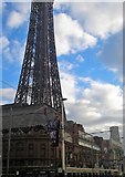 SD3036 : Blackpool Tower by norman griffin