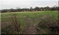 Muddy track into a field, Newent