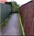 Path between fences, Newent